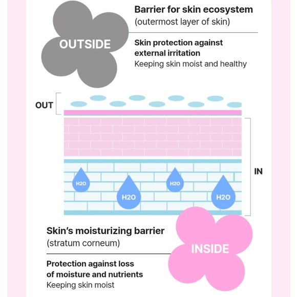 Mamonde Probiotics Ceramide Intense Cream - Picture 3 of 9